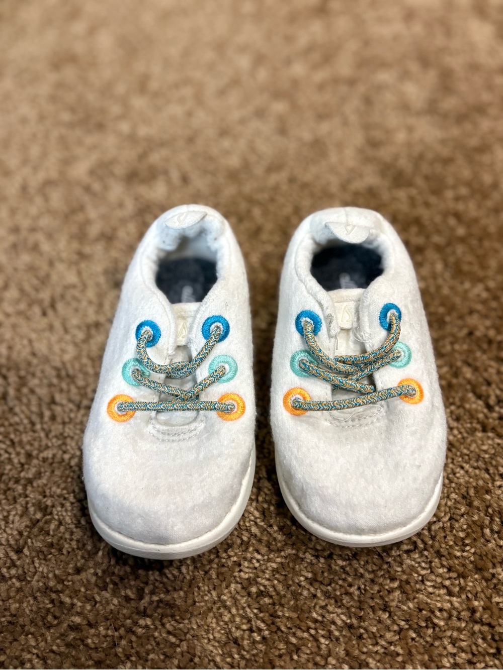 Allbirds Toddler T6 Merino Slip on Sneaker